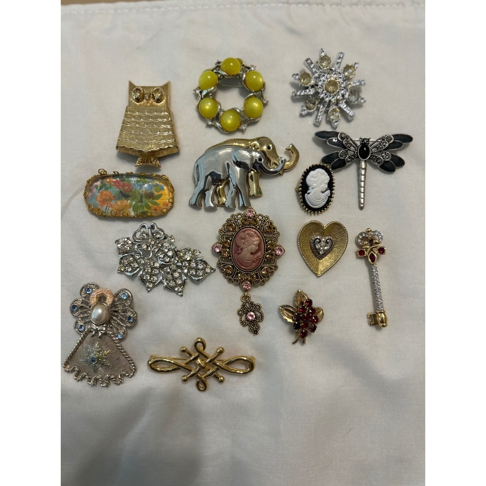 Vintage Brooch Pin Lot 14pc Cameo Elephant Owl Dragonfly Rhinestone Jewelry